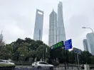 Analysis-Why China's national team won't save spiralling markets